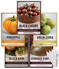 Gardeners Basics, 5 Rare Tomato Seeds for Planting Variety Pack Heirloom Tomato Seeds, Cherokee Purple, Black Krim, Pineapple, Green Zebra, Black Cherry, Determinate and Indeterminate & More, Non GMO