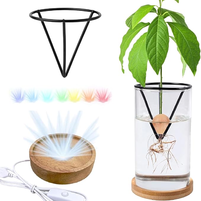 Avocado Vase for Growing - Avocado Seed Starter Vase Rack for Mason Jar of Wide-Mouth 4Pcs, Avocado Seed Holder Triangular Metal Bracket for Family Friends (3 Pcs Vase Set)