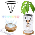 Avocado Vase for Growing - Avocado Seed Starter Vase Rack for Mason Jar of Wide-Mouth 4Pcs, Avocado Seed Holder Triangular Metal Bracket for Family Friends (3 Pcs Vase Set)