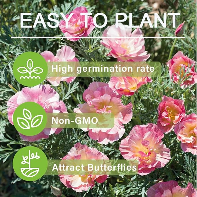 1010+ Perennial Mixed Poppy Flower Seeds for Planting Outdoors-Poppy Seeds Attracts Bees&Butterflies Fragrant Butterfly