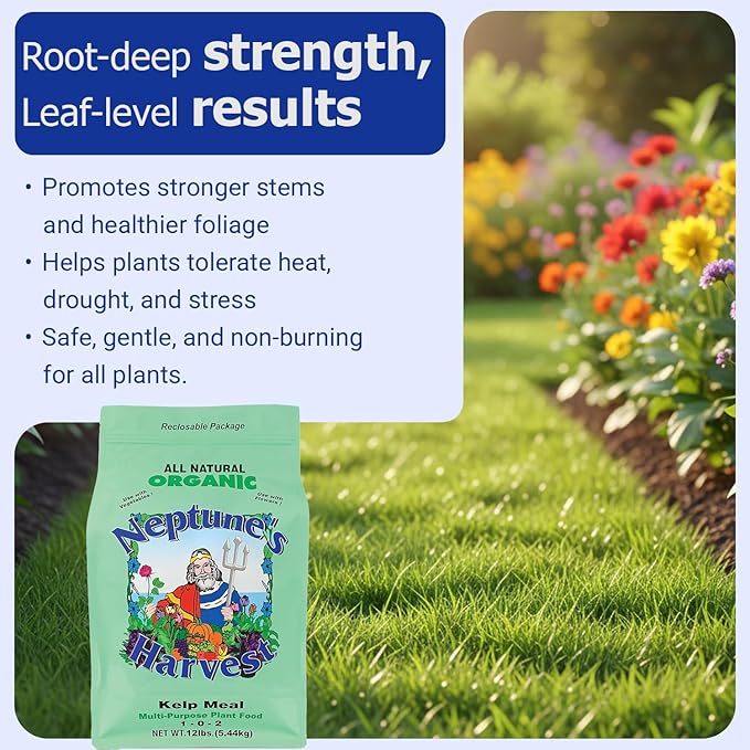 Neptune’s Harvest Organic Kelp Meal Plant Food (1-0-2) - 12 lb Resealable Bag - Multi-Purpose Seaweed Fertilizer - Indoor & Outdoor Plant Fertilizer for Lawns, Gardens, Vegetables & Bulbs
