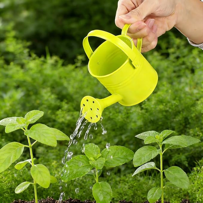 TOYANDONA 5pcs Mini Watering Cans - Small Watering Cans Garden Metal Iron Water Pot for Plants Flowers Bonsai Indoor Outdoor Garden (Random Color)
