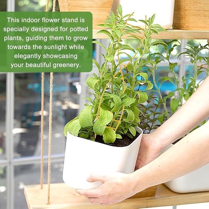 15.94 inch Plant Trellis for Climbing Plants Indoor, Unique DNA Spiral Design Metal Climbing Trellis for Vining Plants, for Houseplant Flower Pothos