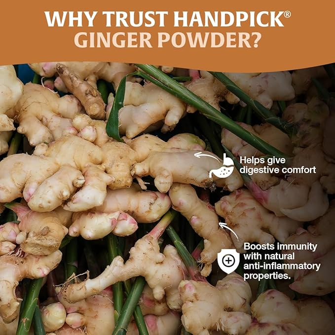 HANDPICK Ginger Powder (14oz/397g) No Additives, No Preservatives, No Fillers | Ginger Root Powder from India | Raw, Gluten Free, Non GMO | Perfect for Cooking, Baking | Resealable Zip Lock Pouch