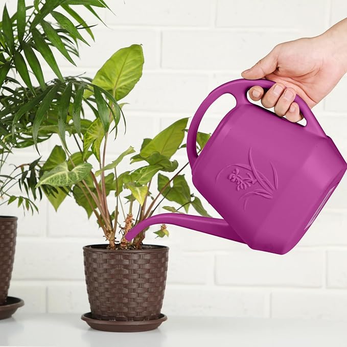 ZXJ Plant Watering Can - for Indoor and Outdoor Home Garden Plants - with Long Spout - Rose Red - 1/2 Gallon