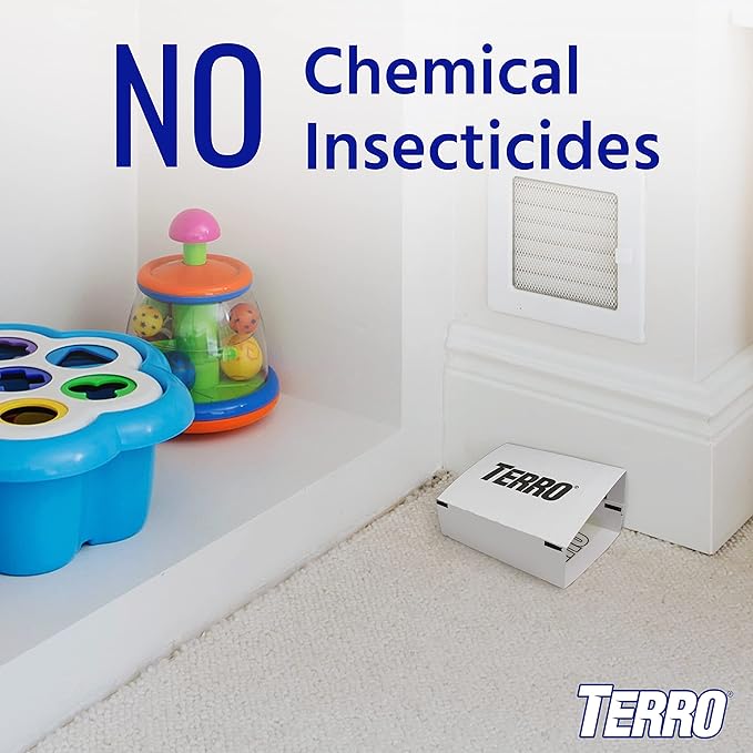 Terro T3206 Spider & Insect Traps Indoor, Insect Traps Indoor Sticky Pads, 4 Count (Pack of 1)