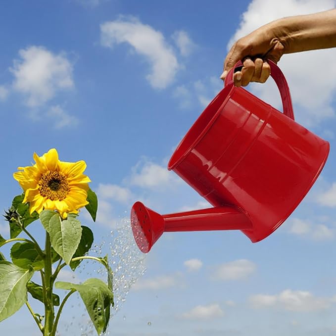 Tinplate Watering Kettle, 1L Metal Garden Watering Can, Vintage Sprinkling Can for Flowers, Indoor & Outdoor Plants, Lawn & Garden Irrigation Tool (Red)