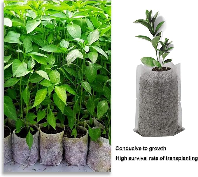 Augshy Grow Bags - 400pcs Plant Nursery Bags, Seeding Bags, Fabric Seedling Pots - Home Garden Outdoor Greenhouse Supplies - 11x11cm/4.2"x4.2" Non-Woven