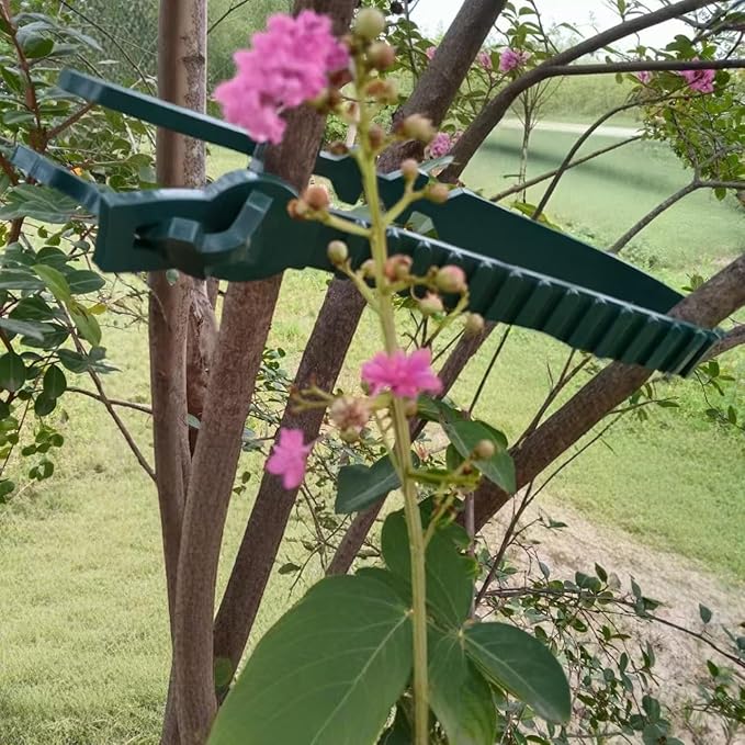 Heavy Duty Tree Stake Supports Adjustable Tree Straightening Ties 5pcs Tree Limb Bands Training System Flexible Rubber Locking Straps - Cable, Plant Ties for Staking (Green 23.6 Inch)