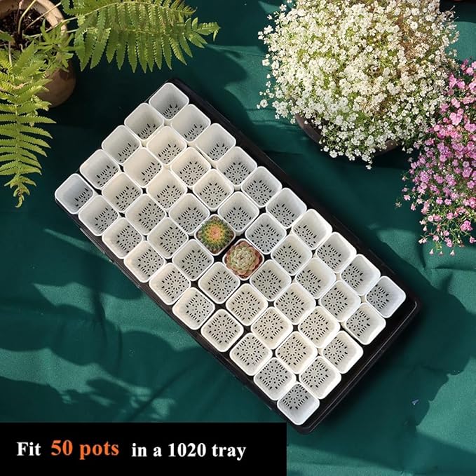 BangQiao 180 Pack 1.95 Inch Tiny White Plastic Square Nursery and Seedling Pot, Mini Deep Transplant Seed Starter Planter with Drain Hole for Germination, Herb, Succulent