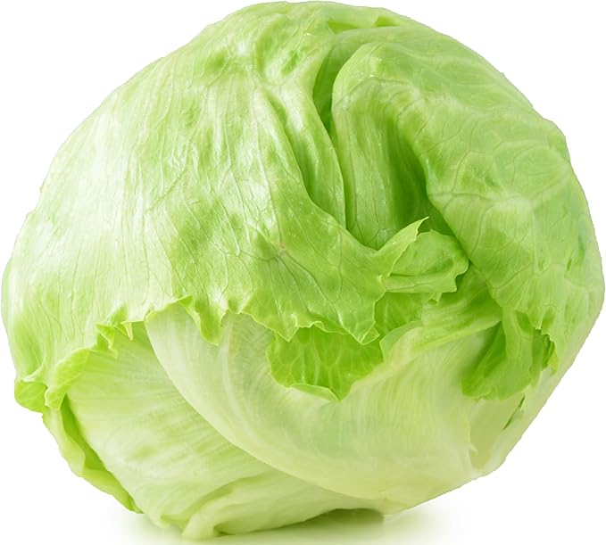 500 Iceberg Lettuce Seeds for planting - Heirloom Non-GMO USA Grown Premium Vegetable Seeds for Planting Home Garden - Crisphead Heading Lettuce Lactuca Sativa by RDR Seeds