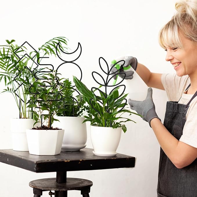 Plant Trellis for Climbing Plants Indoor, Small 14.6in Metal Trellis for Potted Plants, Mini Houseplant Hoya Pothos Trellis with Ties, Set of 4p Different Shap, Black