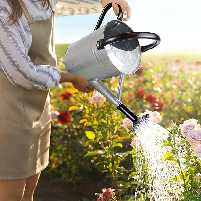 1 Gallon Metal Watering Can for Outdoor Garden, Plant & Flower Watering Pot for Gardening Bonsai Water Bucket with Sprinkler Head