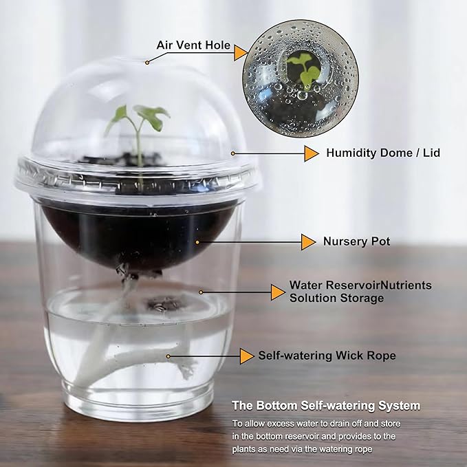 ORIMERC 30 Set Nursery Pots with Humidity Dome, Clear Nursery Pots with Drainage, Self Watering Small Plant Pots, Seedling Pots for Plants, Seed Starter Pots for Planting Vegetables Fruit Flower