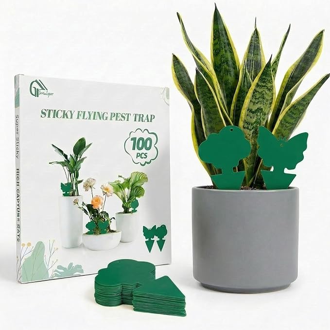 100 Pcs Sticky Traps for Fungus Gnat (Plants), Fruit Fly, Whitefly, and Fly, Yellow Sticky Insect Catcher Traps for Indoor/Outdoor, Kitchen, and Plants, High-End Glue, Non-Toxic, Green