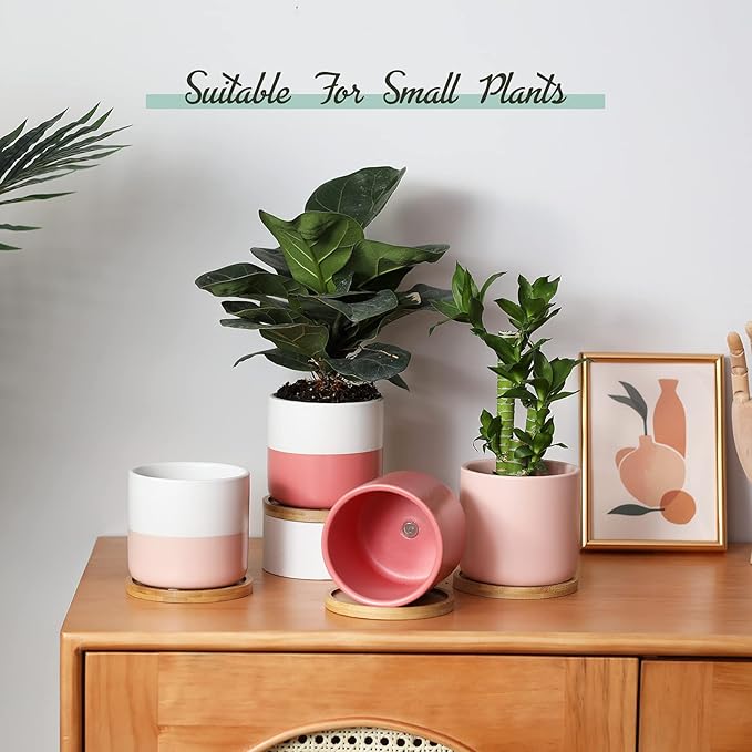 TAMAYKIM 4 Inch Ceramic Plant Pots with Drainage Holes, Small Contrast Style Flower Planter Pot with Tray for Indoor Plants, Succulent, Snake Plants, Cactus & Herbs, Set of 4