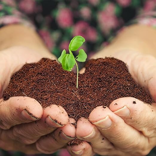 Home and Country Coconut Fiber Compressed Coco Coir Brick. Coco Coir is Great to use as a Compost Starter for Your Home Garden. Coco Coir Bricks Provide Organic Alternative to Peat Moss for Plants.10