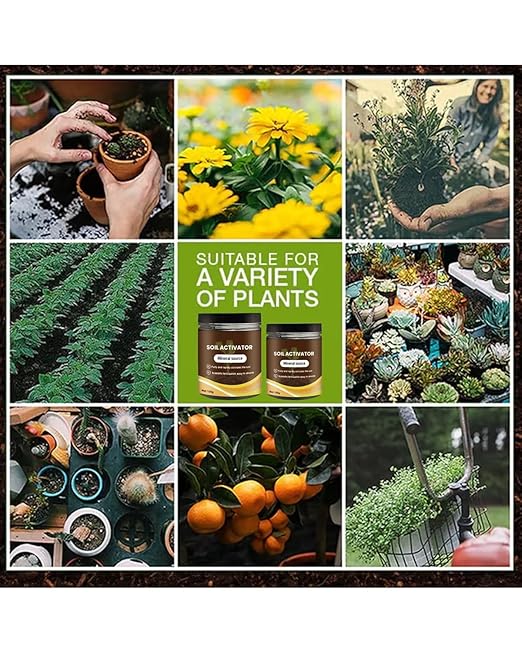 Soil Activator for Plants, 2025 New Soil Activated Treasure, Organic Soils Activator & Plant Fertilizer for Potting Mix, and Seedling Compost, Promote Plant Rooting (1Pcs)