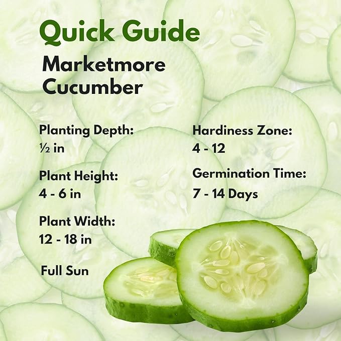 250+ Organic Marketmore Cucumber Seeds – Premium Heirloom Seeds – Perfect for Gardens, Raised Beds & Containers – Crisp, Delicious & Non-GMO – USA Grown (Cucumis sativus)