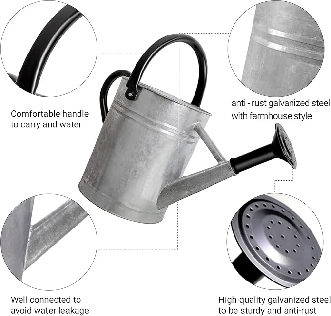 Metal Watering Can with Removable Spout, Galvanized Steel Plants Water Can for Women, Men and Kids' Outdoor or Indoor Gardening - Nice Flower Watering Pot Gift & Decoration (Zinc, 1 Gallon)