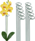 10 Pieces 24 inch Green Single Stem Plant Stakes Flower Support Rings,Gardening Planter Cages for Single Stem Flowers, Amaryllis, Peony, Lily,Narcissus
