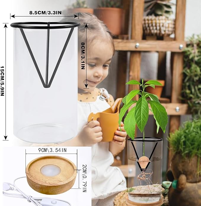 Avocado Vase for Growing - Avocado Seed Starter Vase Rack for Mason Jar of Wide-Mouth 4Pcs, Avocado Seed Holder Triangular Metal Bracket for Family Friends (3 Pcs Vase Set)