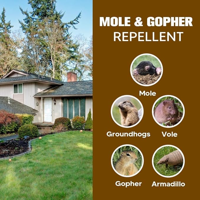 Mole Repellent, Gophers Repellent, Vole Repellant Outdoor, Groundhog Deterrent, Armadillo Repellent for Garden, Mole Control, Keep Mole Out of Yard, Safe Around Pet & Plant-8P