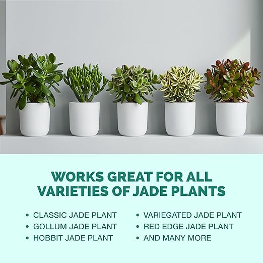 TPS NUTRIENTS Jade Fertilizer for All Jade and Crassula Plants, Liquid Plant Food, 32 oz (1 Quart)