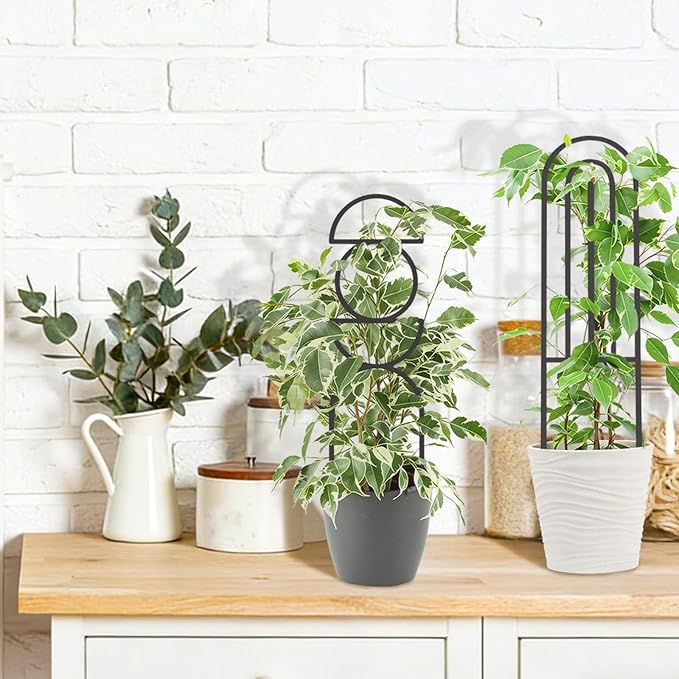 4 Pcs Indoor Plant Trellis for Climbing Plants, Small Trellis for Potted Plants, Garden Metal Trellis Plant Support Trellis with Different Patterns for Vine Ivy Flower (Boho)
