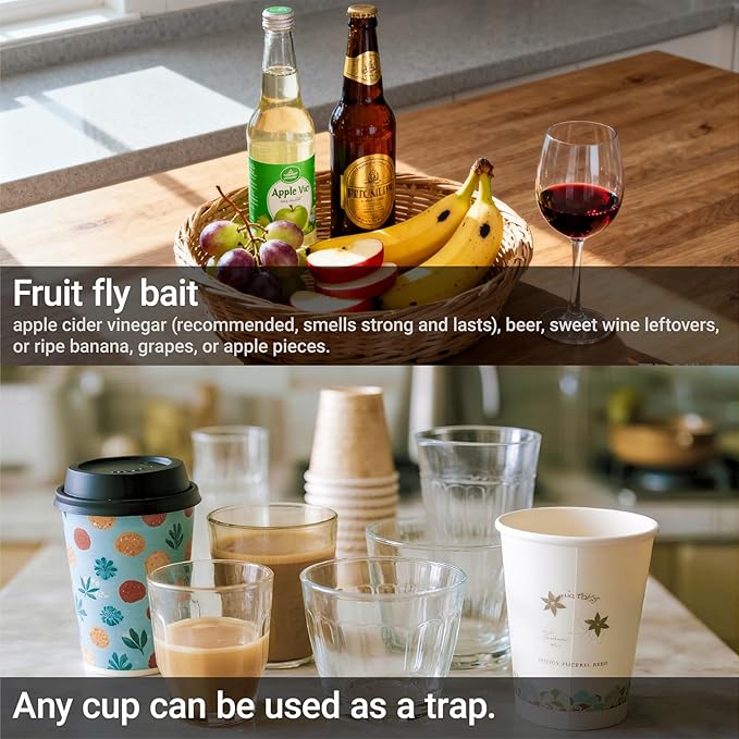 Fruit Fly Trap Covers, Double-Sided Sticky Adhesive Cards for Gnats, Fruit Flies, Moths, Kitchen Insect Control (50 Pcs)