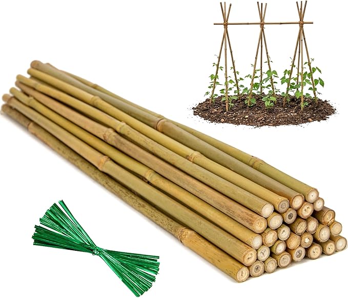 Plant Stakes Natural Bamboo Sticks - 30 Pcs Bamboo Garden Stakes for Plants 4.8 FT Plant Support Sticks with Twist Ties for Tomatoes Beans Flowers Indoor Outdoor Potted Climbing Plants