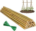 Plant Stakes Natural Bamboo Sticks - 30 Pcs Bamboo Garden Stakes for Plants 4.8 FT Plant Support Sticks with Twist Ties for Tomatoes Beans Flowers Indoor Outdoor Potted Climbing Plants