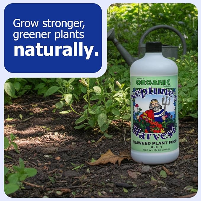 Neptune’s Harvest Seaweed Plant Food (0-0-1) - 32oz Bottle - Multi-Purpose Seaweed Organic Liquid Fertilizer - Indoor & Outdoor Plant Fertilizer for Lawns, Gardens, Vegetables, & Flowers