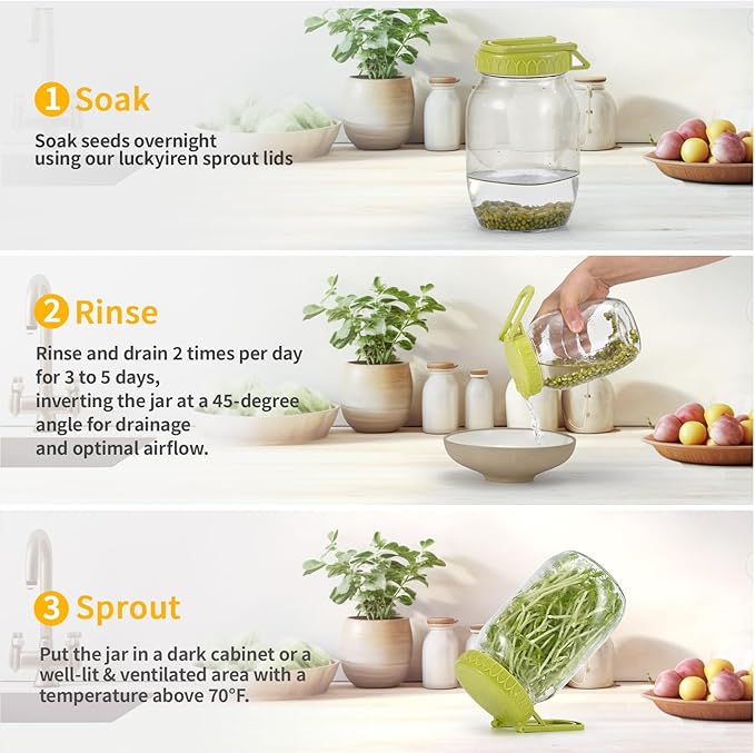 Complete Sprouting Kit - 2 Large Wide-Mouth Mason Jars 32 Oz, 2 Foldalbe Screen Lids with Draining Stand, 2 Metal Canning Lids, Bean Sprouts Grow Kit for Broccoli alfalfa