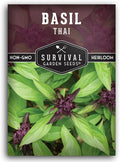Thai Basil Seeds for Planting – Sweet Thai Basil with Anise Flavor for Asian Cooking – Heirloom Non-GMO Herb Seed for Indoor or Outdoor Gardens – Survival Garden Seeds (1 Pack)