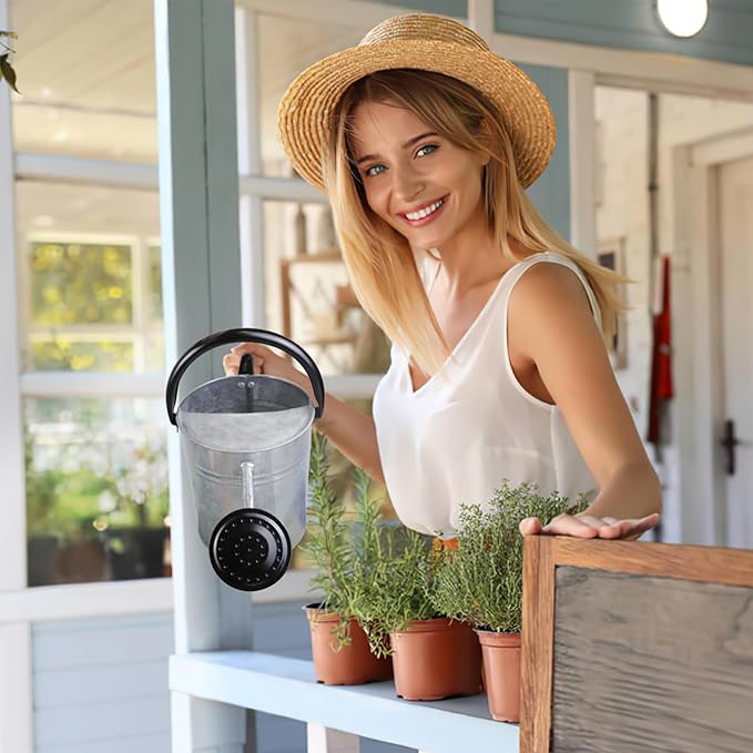 Metal Watering Can with Removable Spout, Galvanized Steel Plants Water Can for Women, Men and Kids' Outdoor or Indoor Gardening - Nice Flower Watering Pot Gift & Decoration (Zinc, 0.6 Gallon)