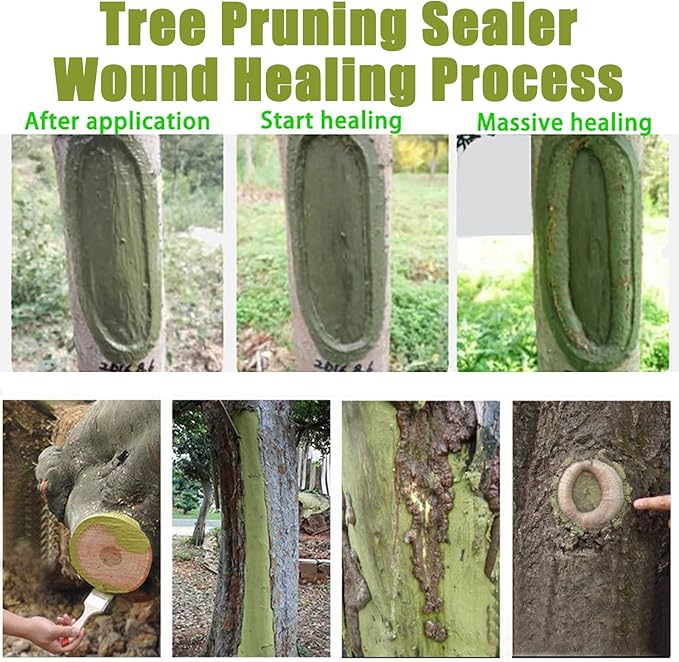 Tree Wound Sealer, Tree Pruning Sealer, Tree Grafting Supplies, Tree Wound Sealer Healing Paste, Bonsai Cut Paste, Pruning Sealer And Tree Wound Dressing for Trees, Shrubs, Roses (3Pcs*100g +3*Brush)