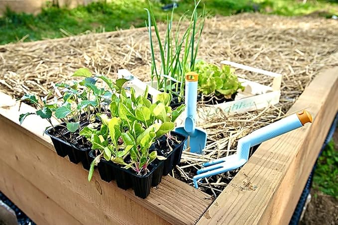 Blue Mountain Hay Organic Garden Straw (5 lb) - Natural Mulch for Gardening, Flower Beds & Landscaping, New Lawn Grass Seeding, Compost, Raised Garden Bed, Cat Grass & Grass Seed