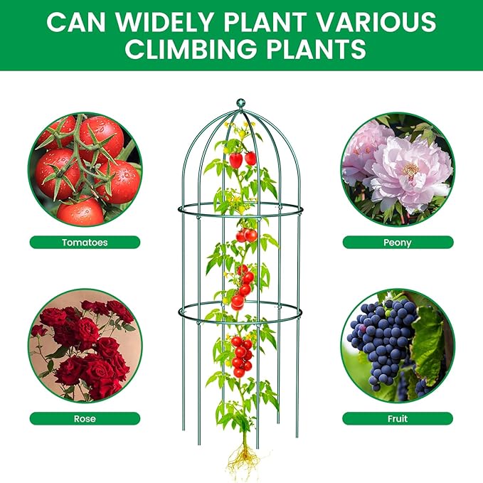 SUNYRISY 3 Pack Metal Plant Support Cage for Tomato Peony Cucumber, 31.5in H Garden Arch Obelisk Trellis for Climbing Plants Supports Outdoor for Vine Vegetables Flowers, Green