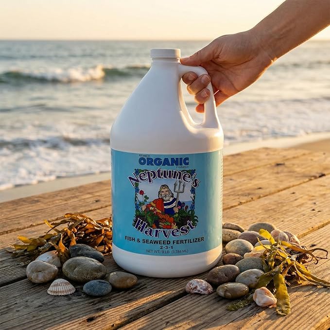 Neptune's Harvest Fish & Seaweed Liquid Fertilizer (2-3-1) - 1 Gallon Bottle - Plant Food for Garden - Indoor & Outdoor Organic Plant Fertilizer for Vegetables, Flowers, Fruit, and Lawns