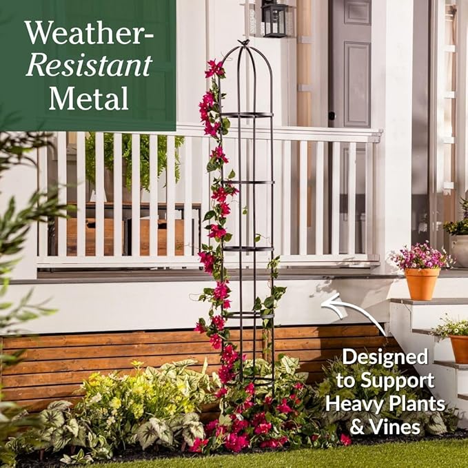 Evergreen Metal Garden Obelisk Trellis for Climbing Plants Outdoor, Indoor Plant Trellis for Potted Plants, Floral Pattern Arch Trellis (Black, 7 ft. Round)