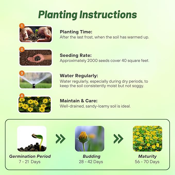 Outsidepride Creeping Zinnia Seeds - 2000 Pcs Annual Flower Seeds for Planting Outdoors, Easy to Grow, Drought Tolerant, Ideal for Pollinator Gardens and Ground Cover Displays