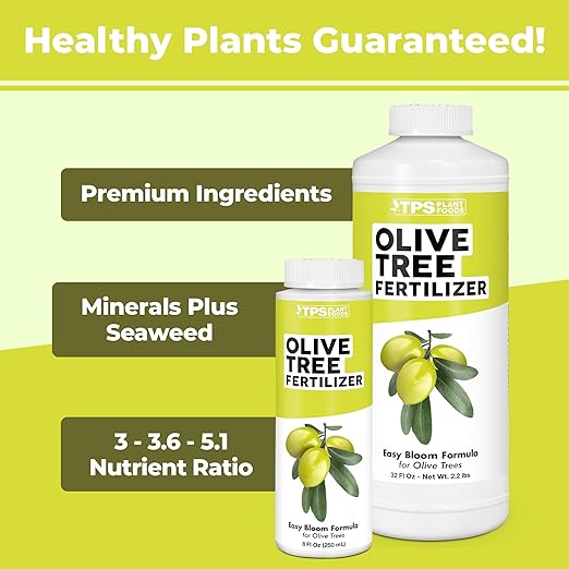 Olive Tree Fertilizer – Liquid Olive Tree Plant Food for Potted, Indoor & Outdoor Olive Trees, 8 oz