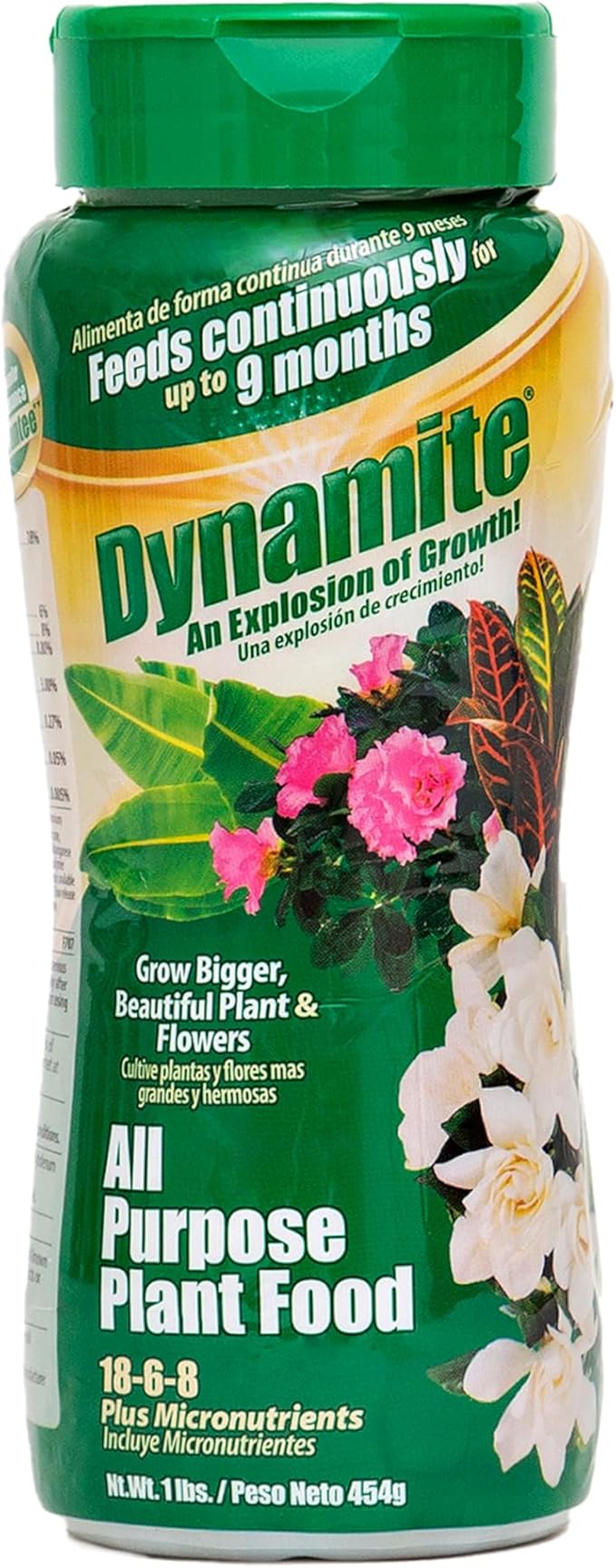 Dynamite 605951 All Purpose Indoor and Outdoor Plant Food, 1-Pound