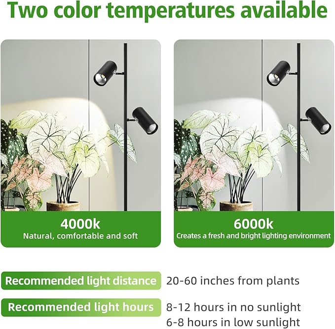60W Dimmable Grow Light, Full Spectrum COB LED Dual-Head Floor Lamp with High CRI, 6/8/12H Timer, Adjustable Height (37"-77") & Angle – Standing Grow Lights for Indoor Plants (Daylight 6000K)
