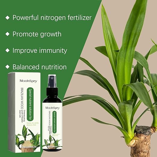 MoonSpry Brazilian lucky wood plant food, lucky bamboo liquid fertilizer,brazilian wood indoor houseplant fertilizer,bamboo indoor plant food,Fertilizantes de brasileña y árbol de la suerte,3pcs*100ml