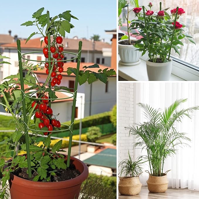 4 Pack Tomato Cage for Garden Plant Support, 24 inches Small Tomato Trellis with Adjustable Rings, Plant Stakes for Peony Support, Tomato Stakes Rings for Climbing Plants