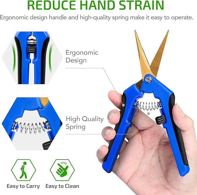 iPower GLPRNR6BLTIX2 2-Pack 6.5” Gardening Hand Pruner Shears with Titanium Coated Curved Precision Blades for Trimming House Plants, Blue