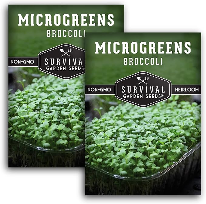 Broccoli Microgreen Seeds for Planting - Non-GMO Heirloom Broccoli Seeds to Grow Microgreens - Indoors or Hydroponic - Fast Sprouting, Nutrient Dense - Survival Garden Seeds (2 Packs)