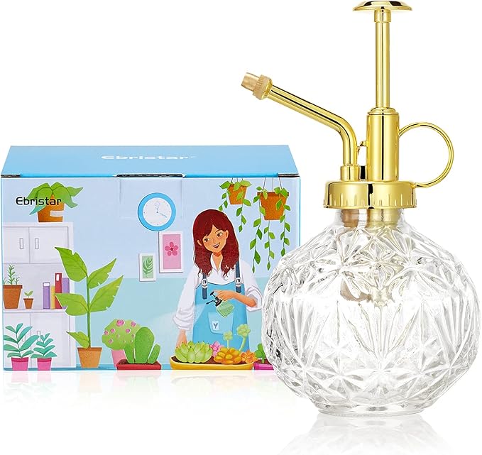 Glass Plant Mister Water Spray Bottle, Succulent Watering Bottle with Plastic Top Pump, 200 ML Capacity Vintage Style Plant Sprayer, Small Watering Can for Indoor Outdoor House Plants - Clear